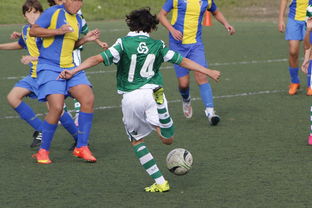 MK体育体验-柔佛新山展示强大进攻,上海申花未能守住客场优势,我的世界1.7.10怎么给别人管理员