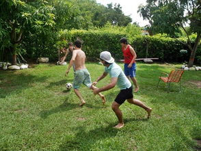 mk体育平台网页版入口-球员赛季关键进球动作回顾,球员进球数